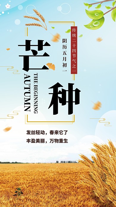 金色稻田清新芒种节气手机海报