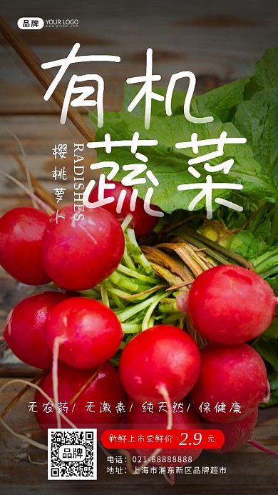 有机蔬菜樱桃萝卜摄影图海报