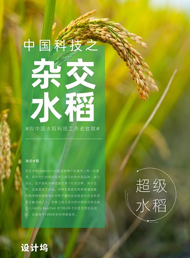 全国科技工作者日创意系列水稻农业宣传海报