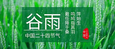谷雨节气绿苗公众号首图