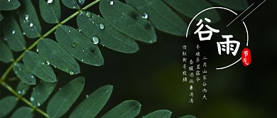 公众号封面谷雨照片