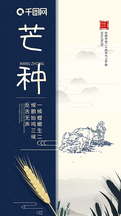 二十四节气芒种手机海报