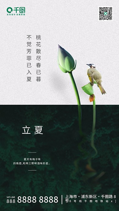 节气创意888上海市荷叶立夏手机海报启动页