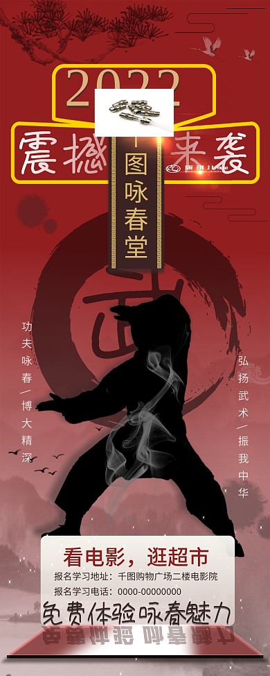 中国风水墨武术功夫咏春拳海报展架易拉宝