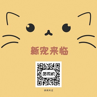 卡通可爱宠物关注二维码