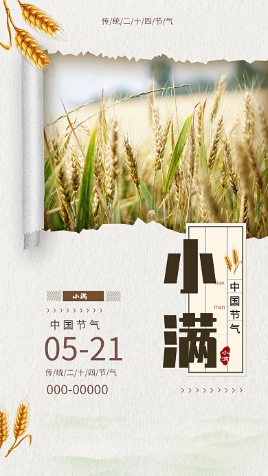 小满二十四节气麦子稻田金黄天空手机海报