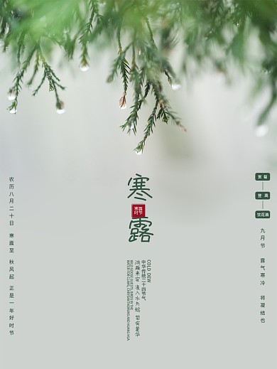 清新简约传统二十四节气寒露节气海报