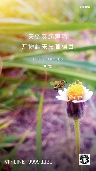 惊蛰蜜蜂绿色写实海报