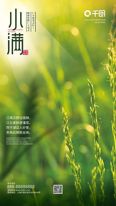 基金理财宣传小满节气借势海报麦穗田野田地