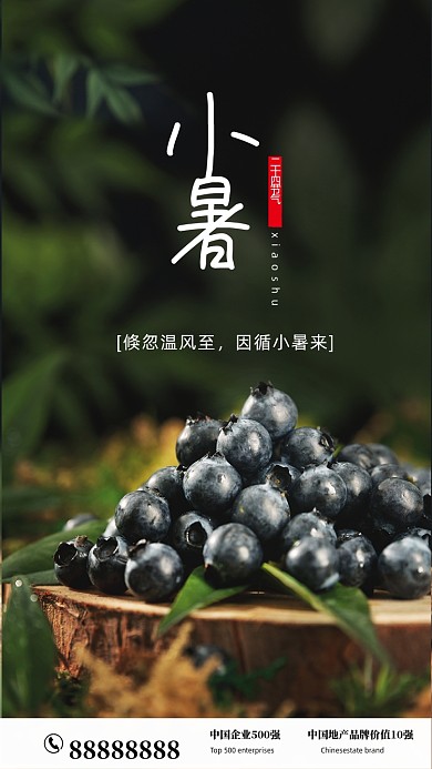 简约蓝莓摄影海报小暑节气