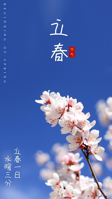 立春节气宣传手机海报