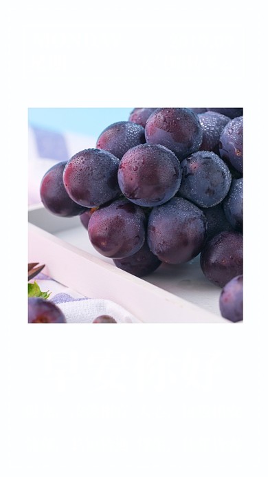 蓝色简约摄影日签月签早安问候手机海报