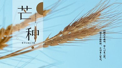 芒种小麦节气横版简洁海报