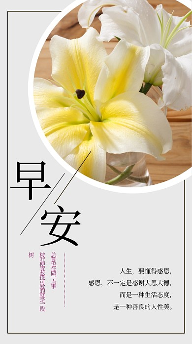早安日签小清新百合花摄影图海报