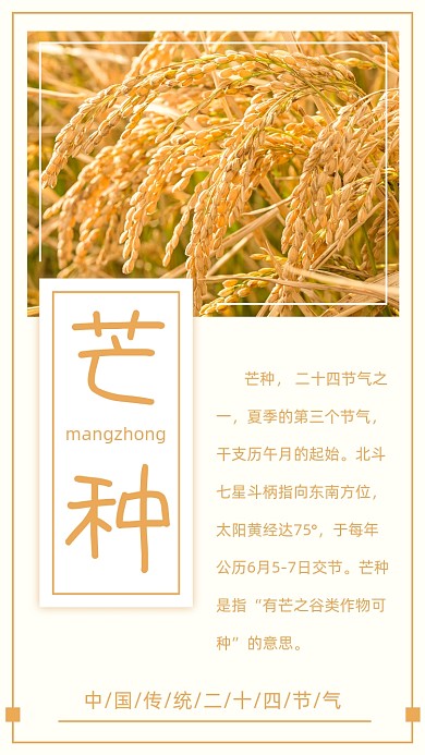 芒种中国传统二十四节气竖版配图