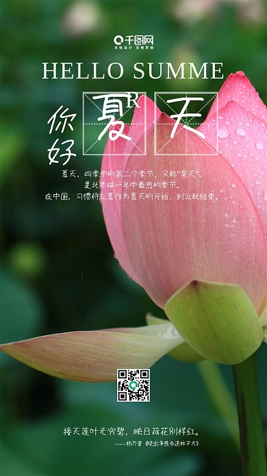 小清新荷花夏天你好手机用图