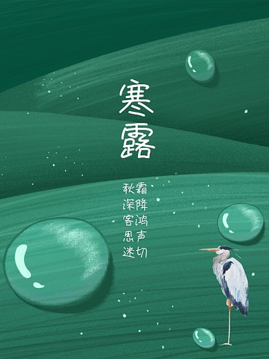 寒露24节气节日海报露水