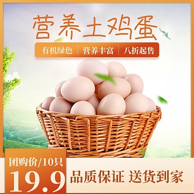 营养土鸡蛋农产品促销简约直通车