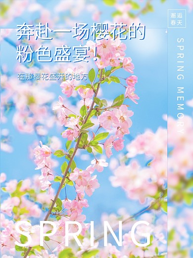 文艺范春日氛围感Plog小清新