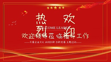 欢迎领导指导工作