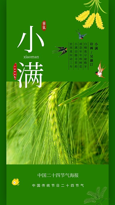 小满夏天麦子绿色燕子节气手机海报