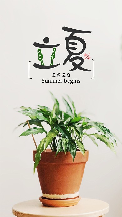 传统节日节气清新文艺手机图立夏海报