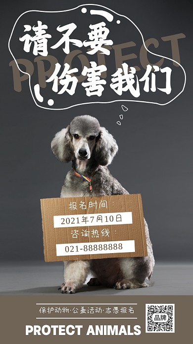 保护动物公益环保摄影图海报