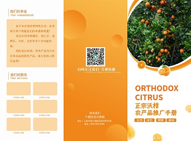 沃柑农产品宣传手册
