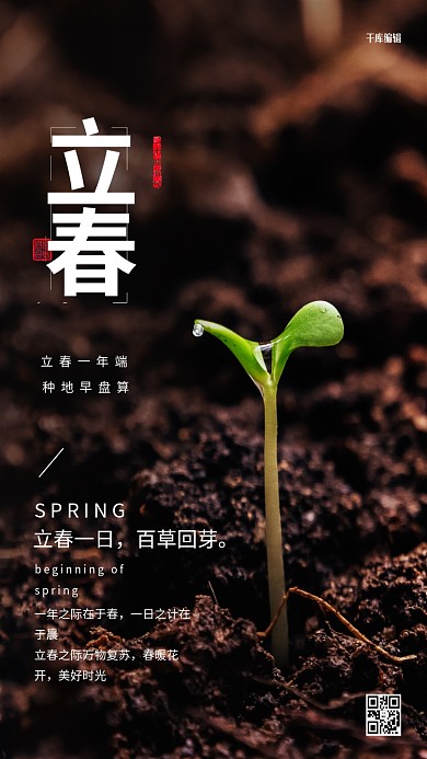 立春节气摄影图褐色简洁海报