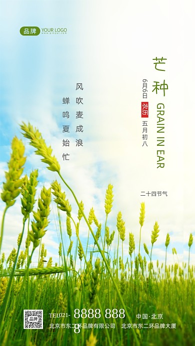 芒种节气二十四节气摄影图海报