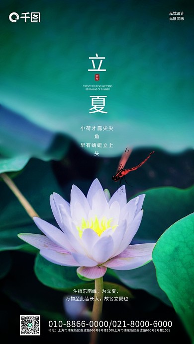 简约中国风地址节气立夏夏至节气手机海报