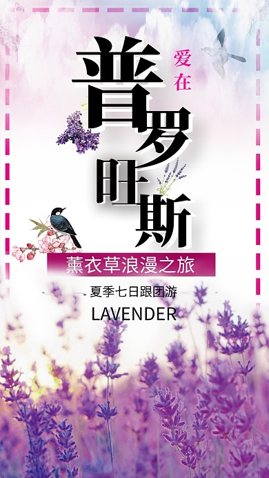 花卉普罗旺斯紫色浪漫宣传手机海报
