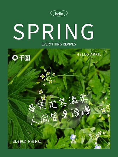 文艺范春日氛围感Plog小清新小红书配图