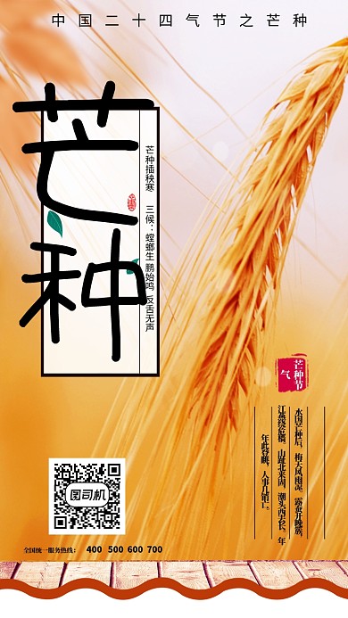 芒种黄色主题海报