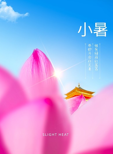 简约摄影图小暑节气海报