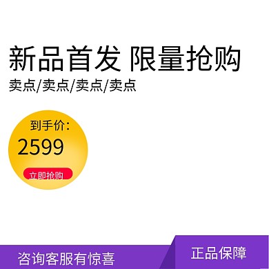新品首发淘宝天猫促销主图图标