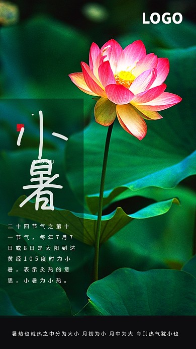 二十四节气之小暑 手机海报