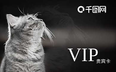 宠物会所会员卡卡片