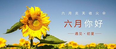 六月初夏向日葵微信公众号素材图片