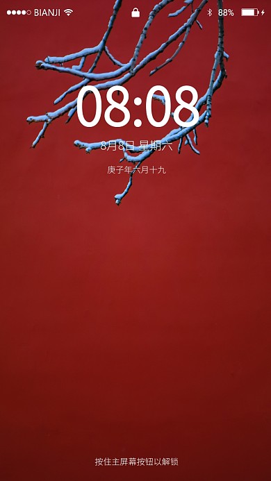 故宫红墙树枝手机壁纸