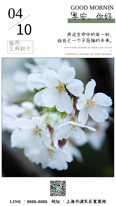 简约正能量励志问候日签朋友圈早安樱花海报