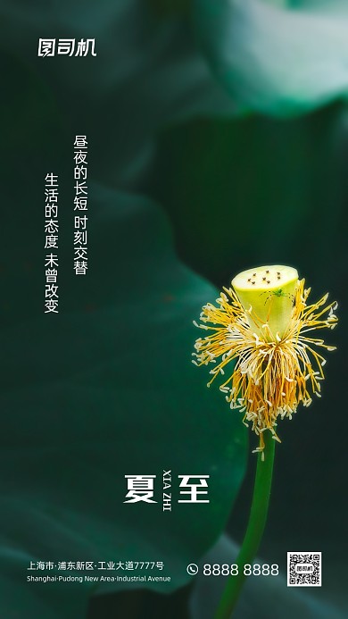 夏至节气绿色极简风手机海报