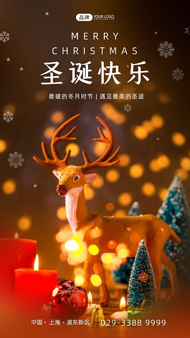 圣诞狂欢简约摄影图海报