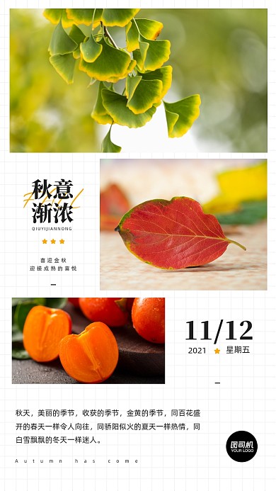 秋意正浓秋天景色照片相册手机海报