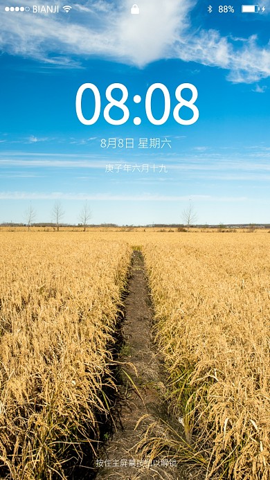 蓝天白云下稻田地摄影图