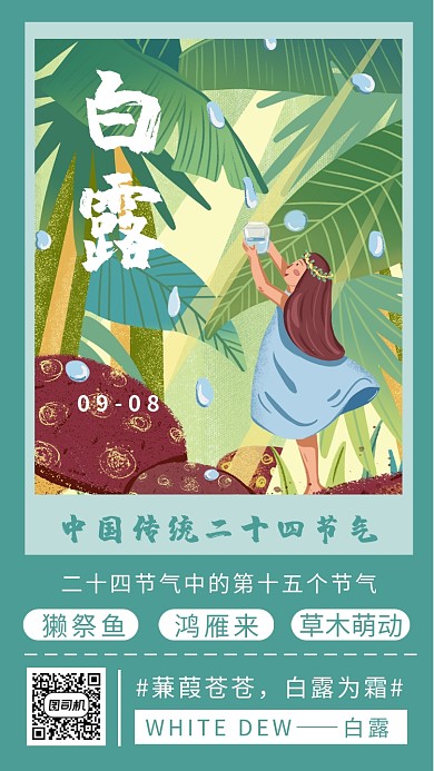 简约白露节气绿色插画风手机海报