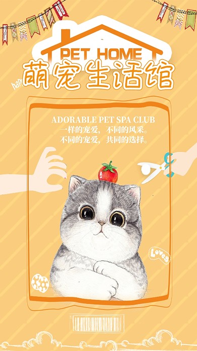 手绘卡通简约宠物猫咪手机海报