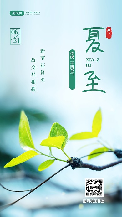 夏至节气静物写实摄影图手机海报