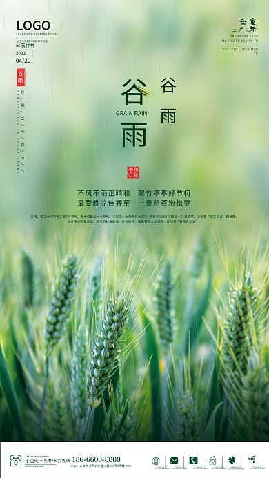 传统二十四节气谷雨海报