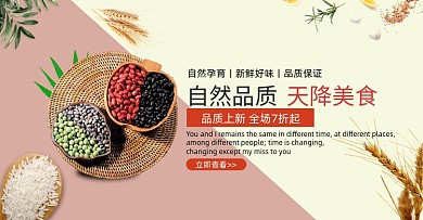 自然品质美食杂粮农产品海报